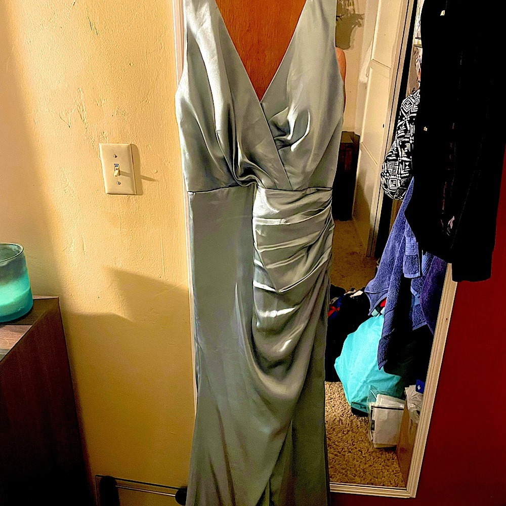 David’s Bridal Bridesmaid dress